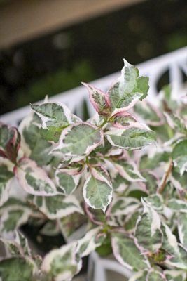 写真 2026-04-14 16 33 01_R_1