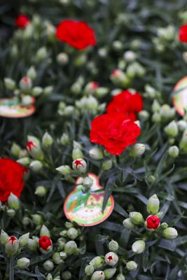 写真 2026-04-26 15 42 45_R_1