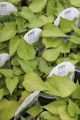 写真 2026-04-23 18 11 23_R_1