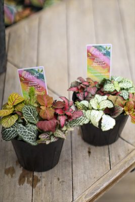 写真 2026-04-12 16 16 48_R_1