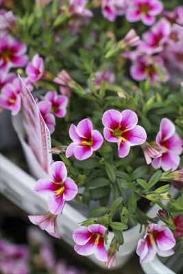 写真 2026-04-23 16 51 03_R_1