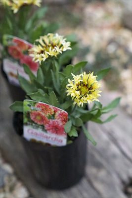 写真 2026-04-23 16 54 48_R_1