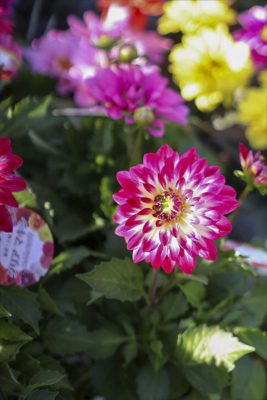 写真 2026-04-02 16 36 52_R_1