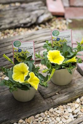 写真 2026-04-07 16 46 09_R_1