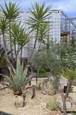 写真 2026-04-25 16 57 14_R_1