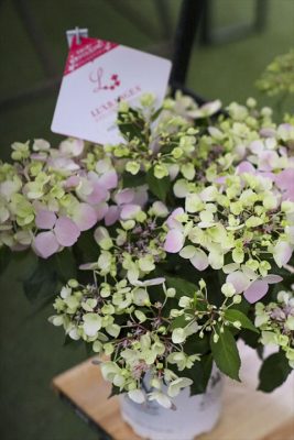 写真 2026-04-22 16 56 10_R_1