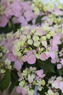 写真 2026-04-26 16 09 05_R_1