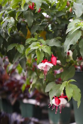 写真 2026-04-04 16 55 19_R_1