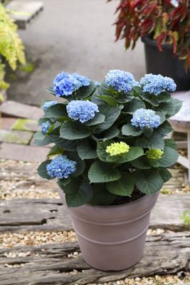 写真 2026-04-30 17 38 03_R_1