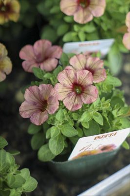 写真 2026-04-24 17 02 29_R_1