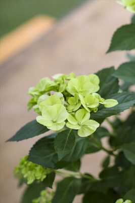 写真 2026-04-26 16 12 01_R_1