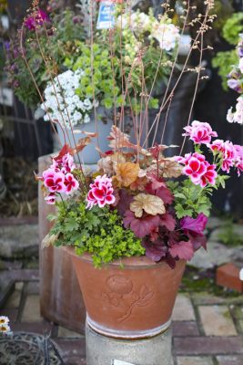 写真 2026-04-08 6 57 18_R_1