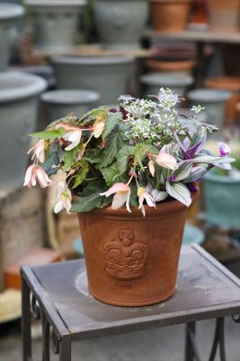 写真 2026-04-13 6 03 34_R_1