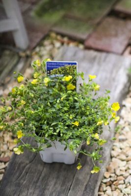 写真 2026-04-22 16 35 52_R_1