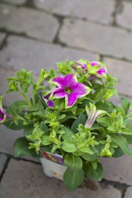 写真 2026-04-15 17 01 55_R_1