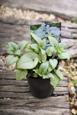 写真 2026-04-12 15 49 19_R_1