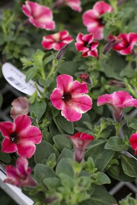 写真 2026-04-09 16 46 25_R_1