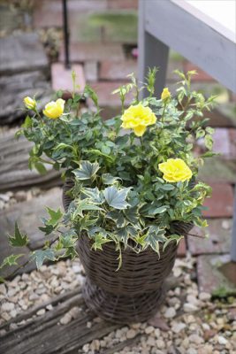 写真 2026-04-05 16 20 11_R_1