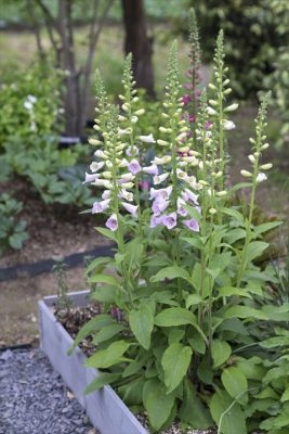 写真 2026-04-25 17 26 03_R_1