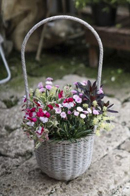 写真 2026-04-03 17 19 15_R_1