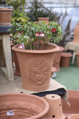 写真 2026-04-11 17 11 50_R_1