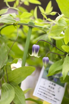 写真 2026-04-22 17 11 57_R_1