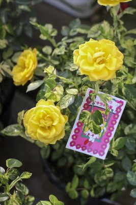 写真 2026-04-05 16 18 38_R_1