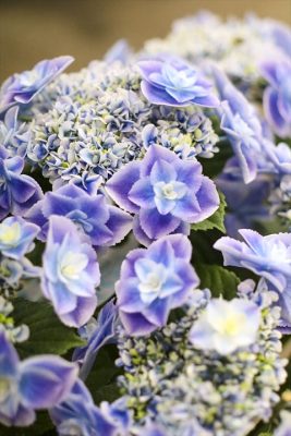 写真 2026-04-22 16 47 11_R_1