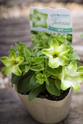 写真 2026-04-07 16 48 15_R_1