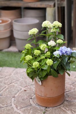 写真 2026-04-30 16 57 56_R_1