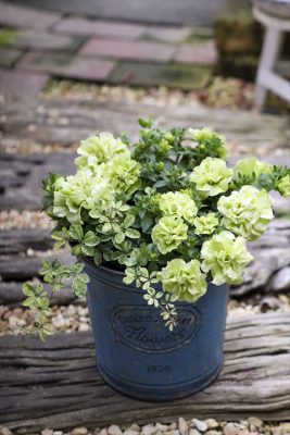 写真 2026-04-14 16 25 51_R_1