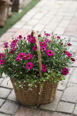 写真 2026-04-03 17 18 17_R_1