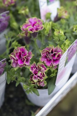 写真 2026-04-23 16 51 33_R_1