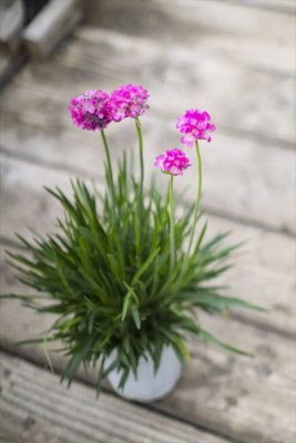 写真 2026-04-14 16 39 47_R_1