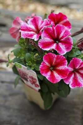 写真 2026-04-15 16 56 50_R_1