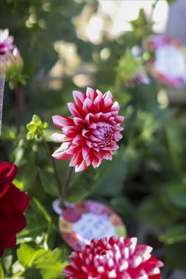 写真 2026-04-02 16 37 09_R_1