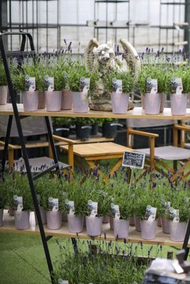 写真 2026-04-09 16 42 53_R_1