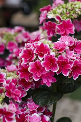 写真 2026-04-30 17 42 18_R_1