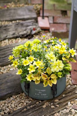 写真 2026-03-29 16 34 17_R_1_1