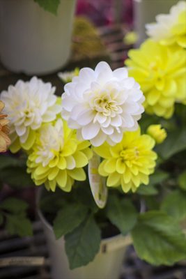 写真 2026-04-04 16 51 23_R_1