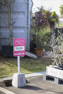 写真 2026-04-05 8 20 53_R_1