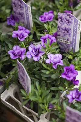 写真 2026-04-10 16 55 26_R_1