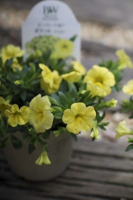 写真 2026-04-24 17 11 25_R_1