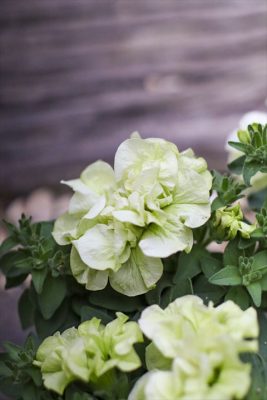 写真 2026-04-12 16 12 46_R_1