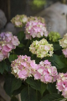 写真 2026-04-04 16 26 19_R_1