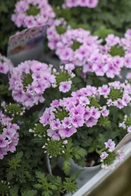 写真 2026-04-03 17 16 00_R_1