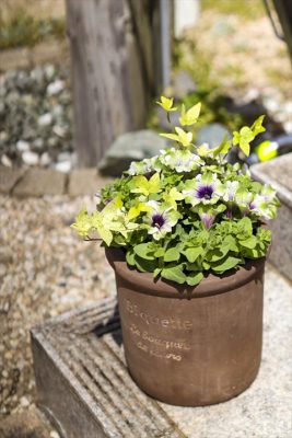 写真 2026-04-07 10 54 33_R_1