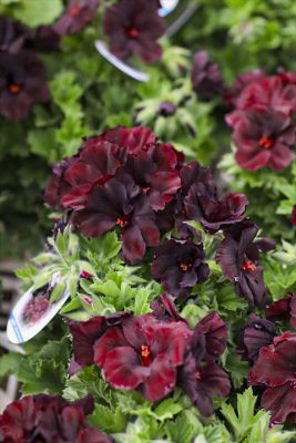 写真 2026-04-09 16 39 23_R_1