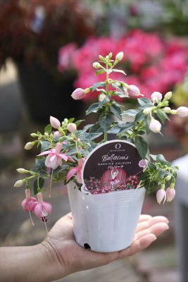 写真 2026-04-02 16 34 57_R_1