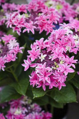 写真 2026-04-30 17 41 55_R_1